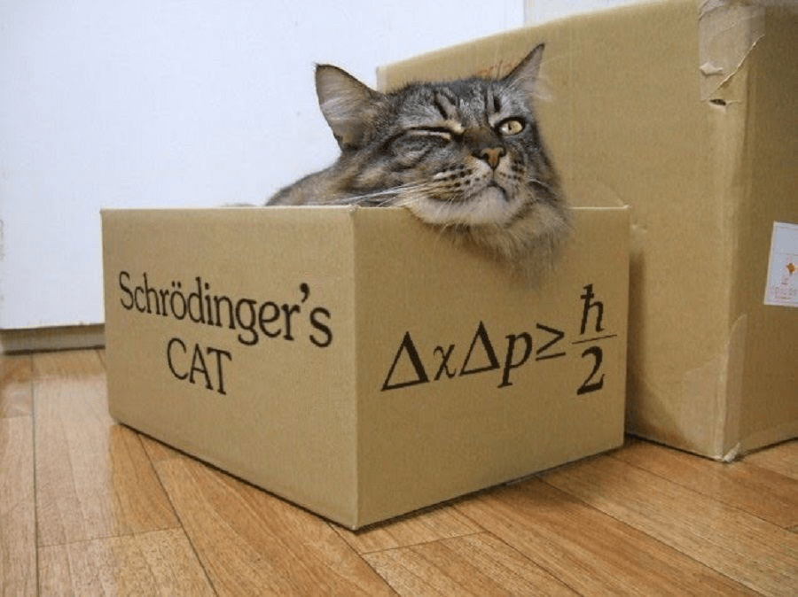 Schrödinger Equation &&nbsp;Consciousness