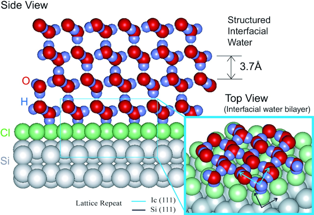 Water and Consciousness