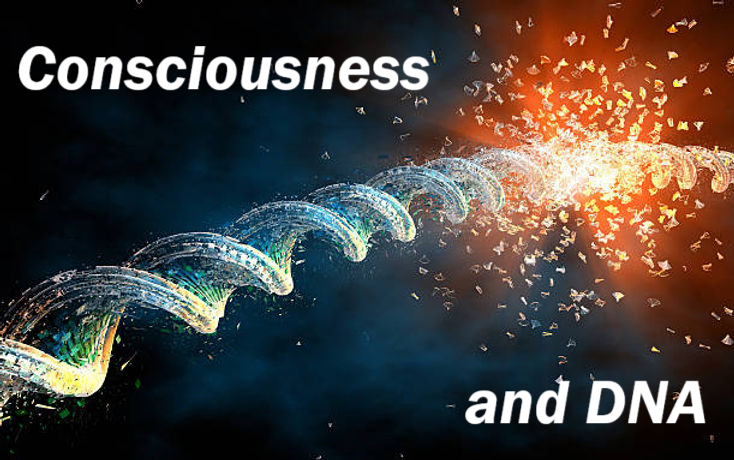 Consciousness & DNA