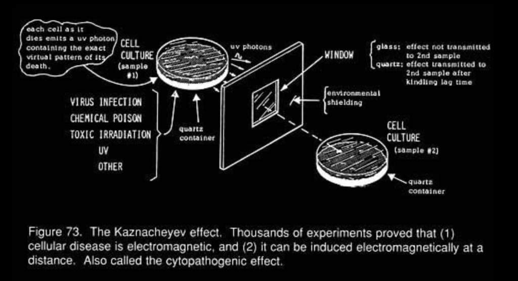 Quantum Realism Reinterpretation of “How Illness Actually&nbsp;Spreads”