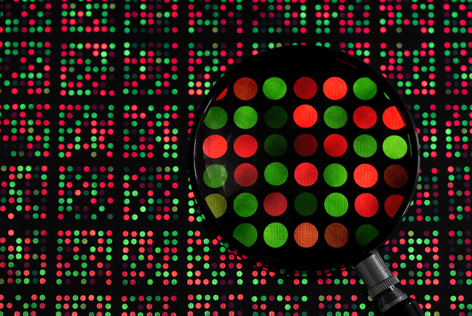 From DNA to God: Mapping Structural Patterns in the Quantum&nbsp;Field