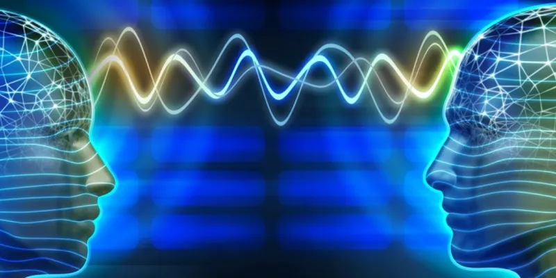 Quantum Signals and Circuits of Human&nbsp;Experience